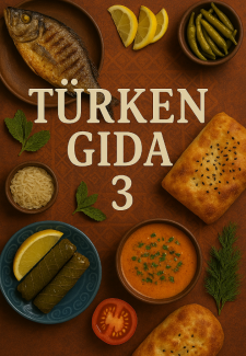 Turken Gida Book 3 Complete Hausa Novel