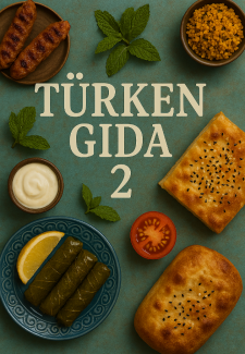 Turken Gida Book 2 Complete Hausa Novel