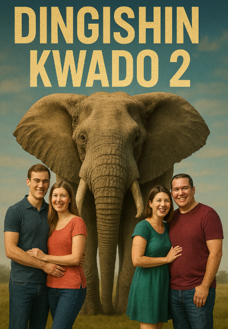 Dingishin Kwado Book 2 Complete Hausa Novel